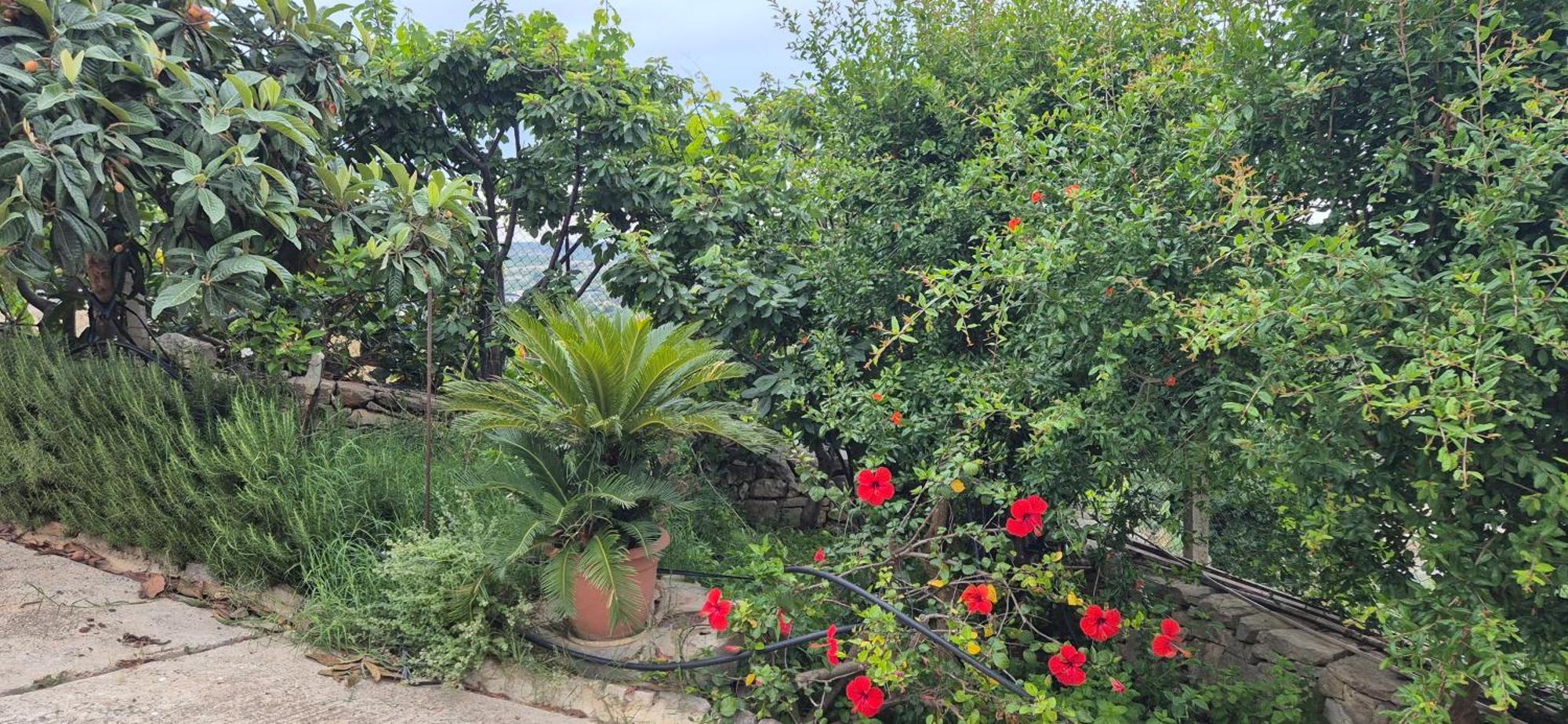 Casa Verga